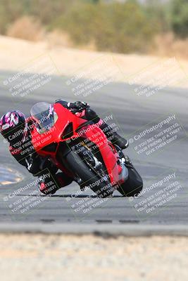 media/Apr-10-2022-SoCal Trackdays (Sun) [[f104b12566]]/Turn 10 (1pm)/